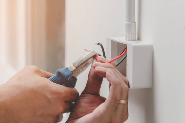 Best Electrical Maintenance Services  in Baldwin, MI