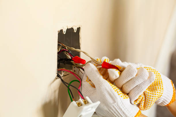 Best Electrical Panel Upgrades  in Baldwin, MI